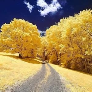 Meet your Posher, Ra